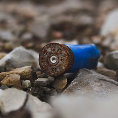 Νεκρός 60χρονος στην Αμφιλοχία σε κυνήγι αγριογούρουνου