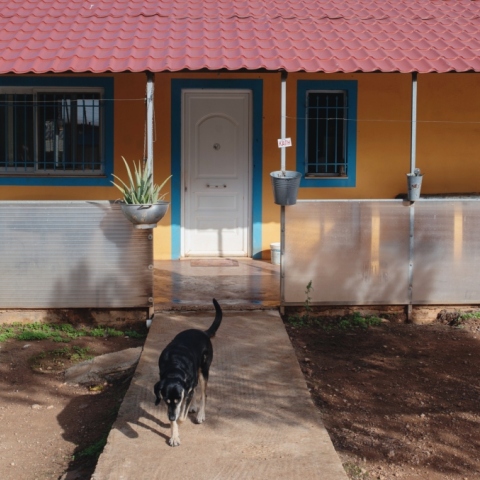 Επισκεφθήκαμε το ΚΑΖ. Στην πλευρά της εισόδου βρίσκεται ο χώρος με τα ηλικιωμένα σκυλιά του καταφυγίου