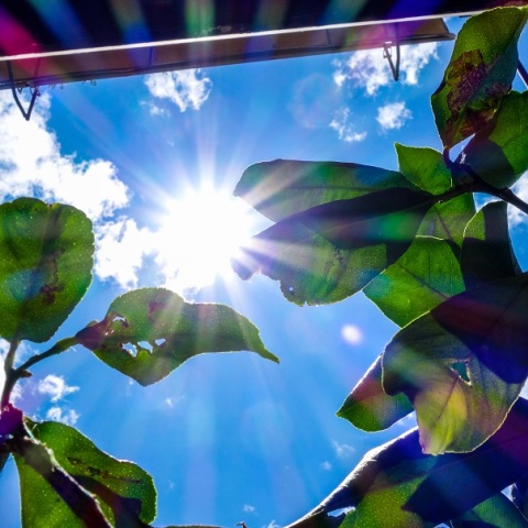 Υψηλές θερμοκρασίες και νοτιάδες στη χώρα την Παρασκευή