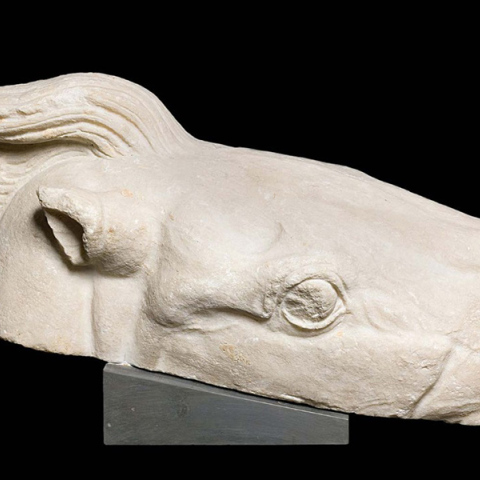 Κεφαλή αλόγου που αποδίδεται στο Δυτικό αέτωμα