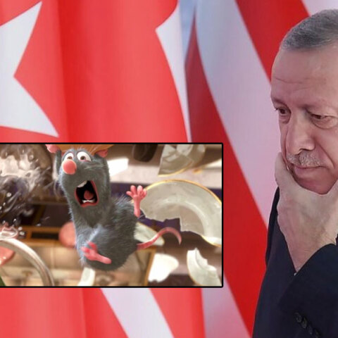 Ο Γερμανός πολιτικός Βόλφγκανγκ Κουμπίκι είχε αποκαλέσει «μικρό αρουραίο Ρατατούη» τον Ερντογάν