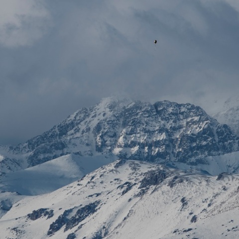 Σαν σήμερα 23 Δεκεμβρίου το 1972 έγινε το «Θαύμα των Άνδεων»