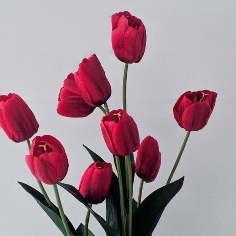 Εορτολόγιο: Σήμερα 24 Δεκεμβρίου γιορτάζει…