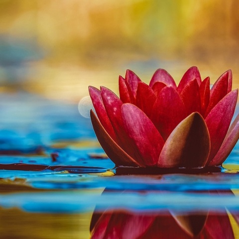 Εορτολόγιο: Σήμερα 30 Δεκεμβρίου γιορτάζει…