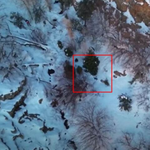 Σκύλος εγκλωβίστηκε σε χιονισμένη πλαγιά στη Γιούτα των ΗΠΑ