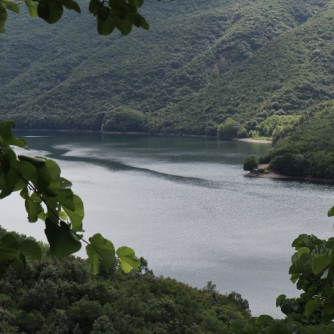 Βέροια: Η μητέρα ομολόγησε οτι σκότωσε το παιδί της και το πέταξε στον Αλιάκμονα