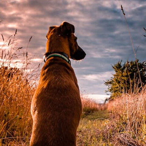 Καλές καιρικές συνθήκες αύριο Τρίτη (3/1), σύμφωνα με την ΕΜΥ