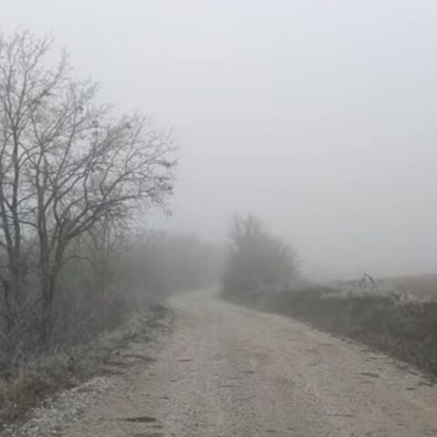 Φλώρινα: Η παγωμένη ομίχλη που «εξαφανίζει» την πόλη