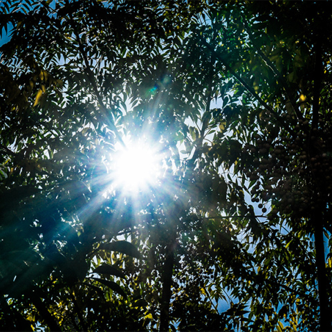 Καιρός - Ήλιος