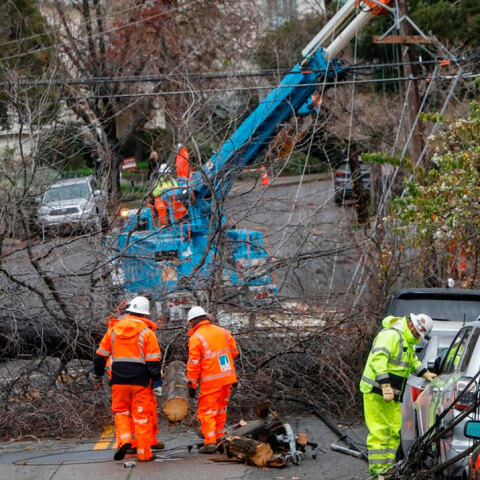 Πτώσεις δέντρων στην Καλιφόρνια από τους θυελλώδεις ανέμους