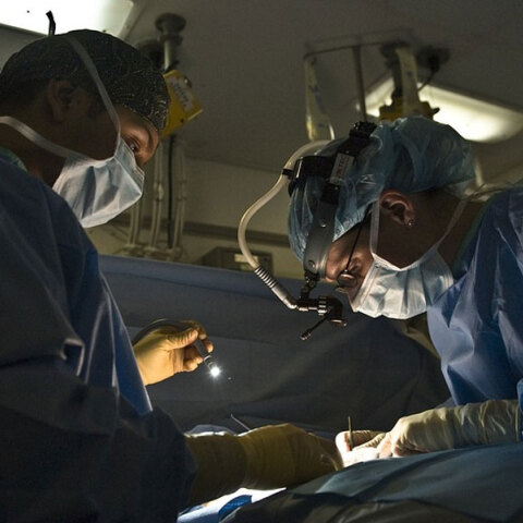 Σε Ελλάδα και Ιταλία τα όργανα του μικρού Θωμά