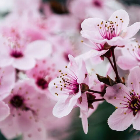 Το εορτολόγιο σήμερα 9 Ιανουαρίου 2023 δεν έχει κάποιον/α που να γιορτάζει