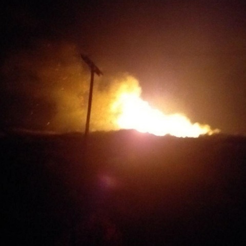 Φωτιά στα Ψαχνά Ευβοίας