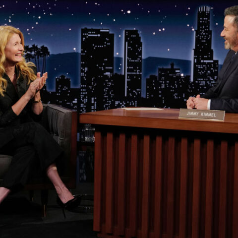 Το βιντεοκλιπ της Τέιλορ Σουίφτ έκανε την Λόρα Ντερν «πιο αναγνωρίσιμη» στη νεολαία