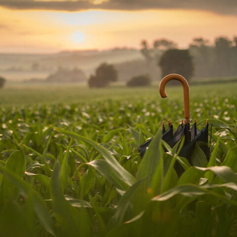 Αλλάζει το σκηνικό του καιρού από σήμερα Δευτέρα (9/1) με βροχές να εκδηλώνονται στα δυτικά