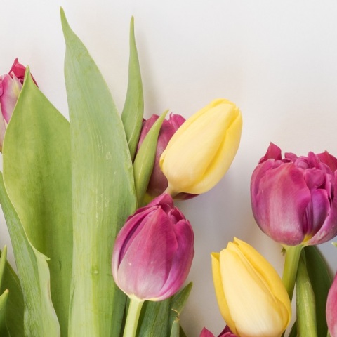 Εορτολόγιο: Σήμερα, 10 Ιανουαρίου, γιορτάζει…