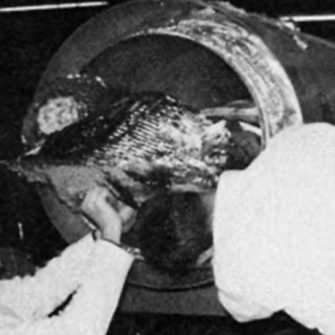 Σαν σήμερα 12 Ιανουαρίου του 1967 πέθανε ο James Bedford