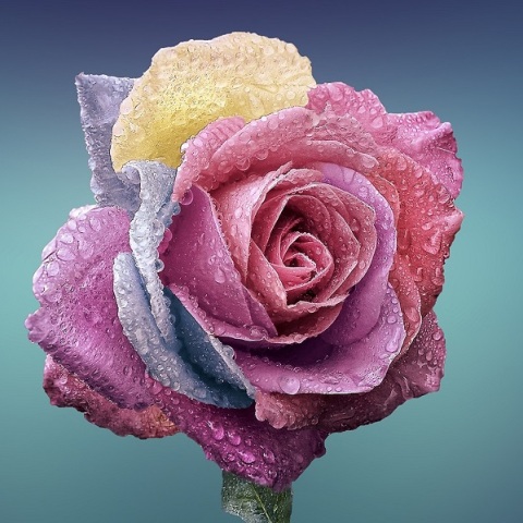 Εορτολόγιο: Σήμερα 12 Ιανουαρίου 2023 γιορτάζει…