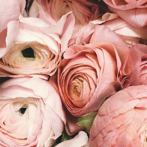 Εορτολόγιο: Σήμερα, 15 Ιανουαρίου 2023 γιορτάζει…