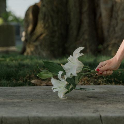 Χέρι που επαναποθέτει λουλούδια σε τάφο