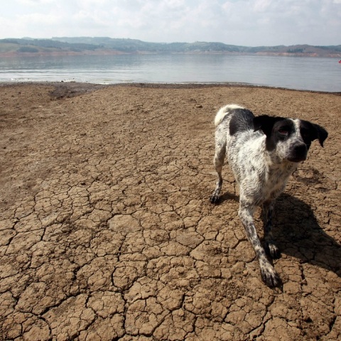 ΕΕ-Copernicus: Χρονιά ρεκόρ, το 2023 ήταν 1,48 βαθμό Κελσίου πιο ζεστό από το κλίμα κατά την προβιομηχανική εποχή, οι ωκεανοί σπάνε εδώ και εννέα μήνες εποχικά ρεκόρ ζέστης	