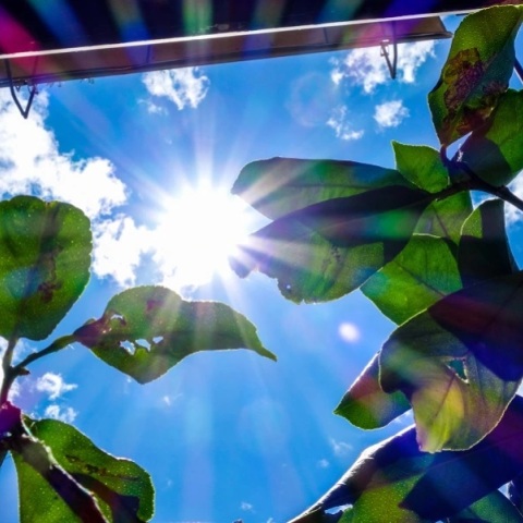 Καιρός: Ανοιξιάτικες οι ελάχιστες θερμοκρασίες την Τετάρτη