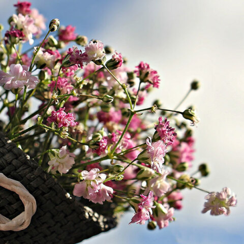 Μπουκέτο λουλούδια