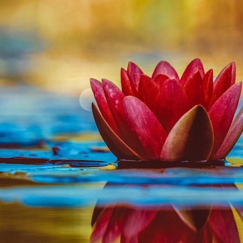 Εορτολόγιο: Σήμερα 23 Ιανουαρίου 2023 γιορτάζει…