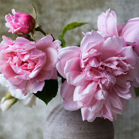 Βάζο γεμάτο λουλούδια