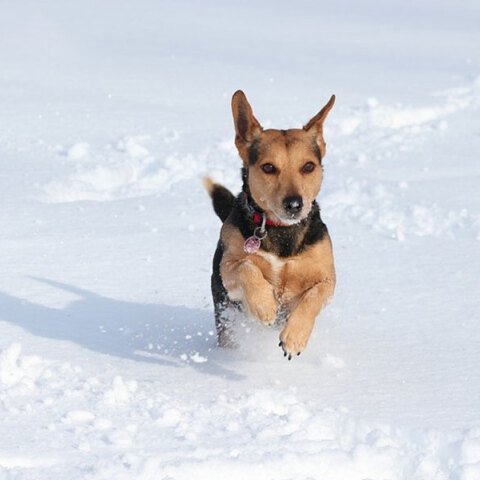 Χιονοπτώσεις στα κεντρικά και βόρεια της χώρας φέρνει η νέα επιδείνωση καιρού