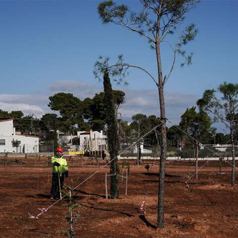 Πάρκο Μνήμης στο Μάτι