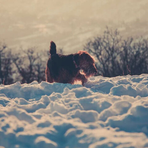 Χιόνια στην Αττική αναμένουν οι μετεωρολόγοι