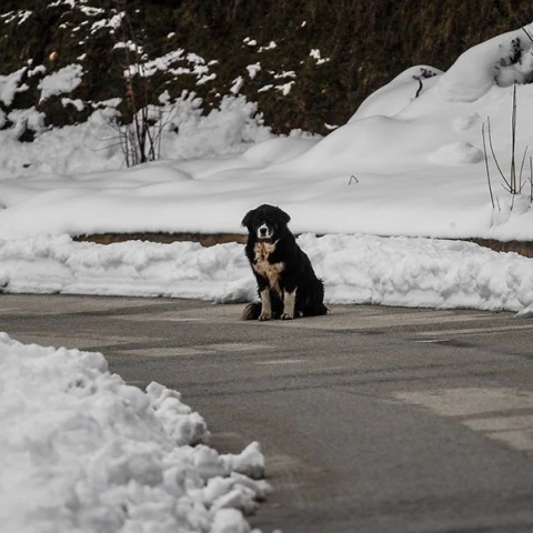 Κακοκαιρία «Μπάρμπαρα» - Καλλιάνος: Με εντυπωσιακό τρόπο θα «χτυπήσει» ο χιονιάς την Αττική