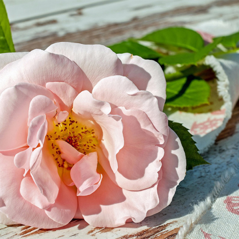 Μπουκέτο λουλούδια