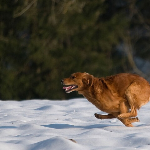 Νέα χιόνια φέρνει η κακοκαιρία «Μπάρμπαρα» τις επόμενες ώρες σε περιοχές της χώρας