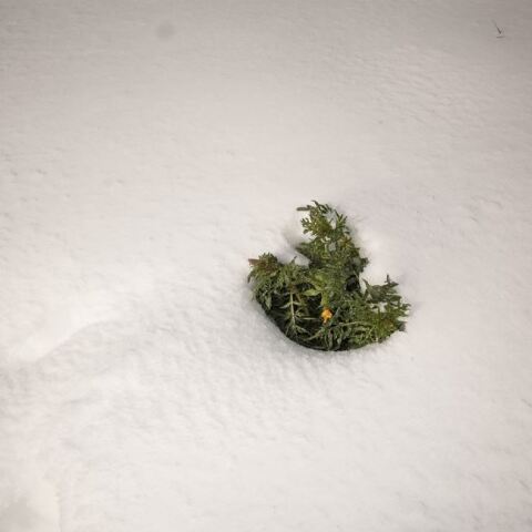 @Nick Paleologos / SOOC