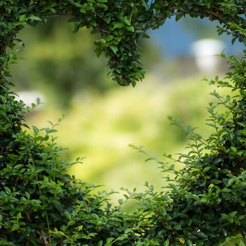 Ο Άγιος Βαλεντίνος γιορτάζεται σήμερα με γενικά αίθριο καιρό