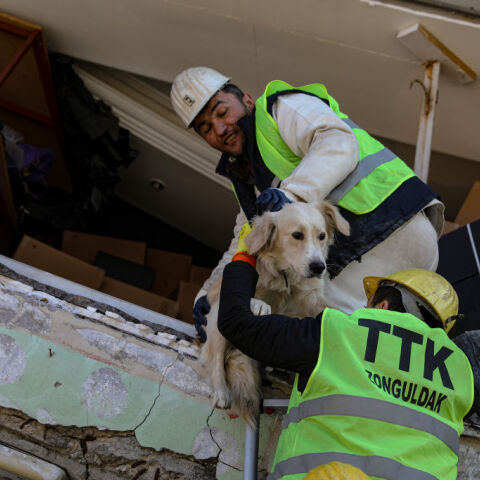 Τουρκία: Δυο σκυλάκια ανασύρθηκαν ζωντανά, πάνω από 200 ώρες μετά τον σεισμό	