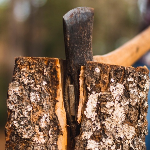 Καβάλα: Νεκρός 55χρονος βοσκός - Καταπλακώθηκε από δέντρο που πήγε να κόψει