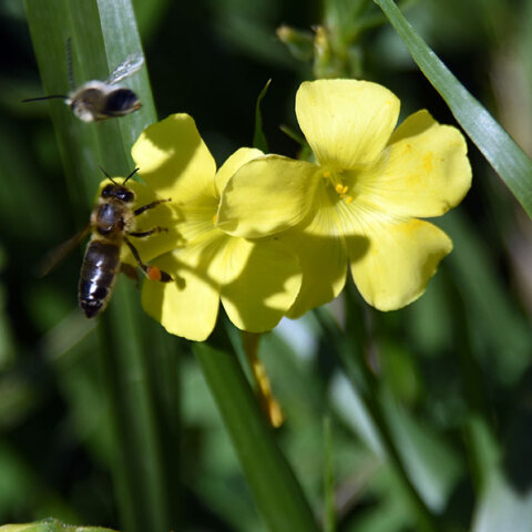 Γενικά αίθριος ο καιρός σήμερα Σάββατο (18/2)
