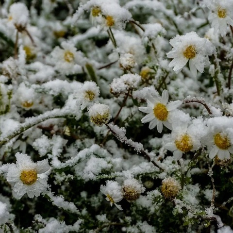 Παγετός στη βόρεια Ελλάδα: Το θερμόμετρο έδειξε μέχρι -8 βαθμούς Κελσίου