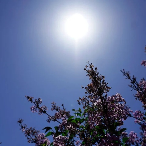 Καιρός: Πλησίασε τους 22 βαθμούς η θερμοκρασία σήμερα