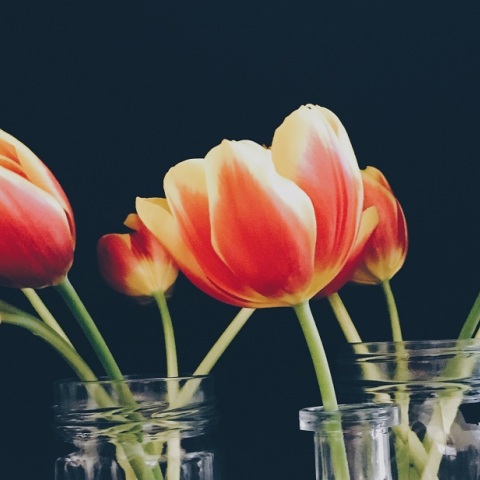 Εορτολόγιο: Σήμερα 19 Φεβρουαρίου 2023 γιορτάζει…