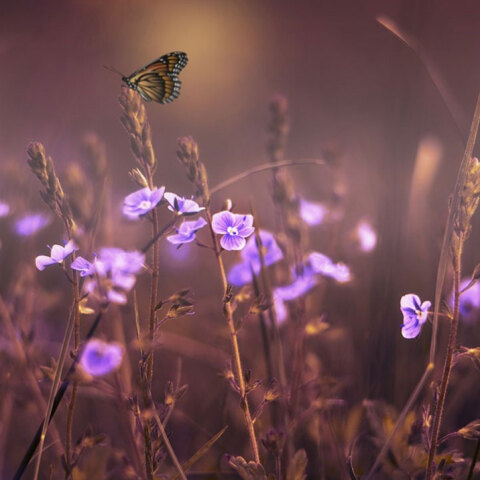 Γενικά αίθριος ο καιρός αύριο Δευτέρα (20/2)