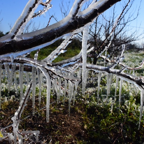 Παγετός και χαμηλές θερμοκρασίες σήμερα