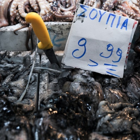 ΒΑΡΒΑΚΕΙΟΣ ΑΓΟΡΑ - ΨΑΡΑΓΟΡΑ (ΓΙΑΝΝΗΣ ΠΑΝΑΓΟΠΟΥΛΟΣ / EUROKINISSI)