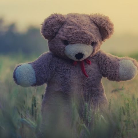 Θεσσαλονίκη: Φοιτήτρια κι 35χρονος καταδικάστηκαν για διακίνηση ναρκωτικών σε λούτρινα κουκλάκια