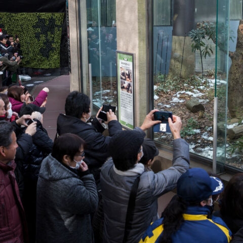 Με δάκρυα στα μάτια οι Ιάπωνες αποχαιρέτησαν την Ξιάνγκ -Ξιάνγκ, το πολυαγαπημένο τους πάντα