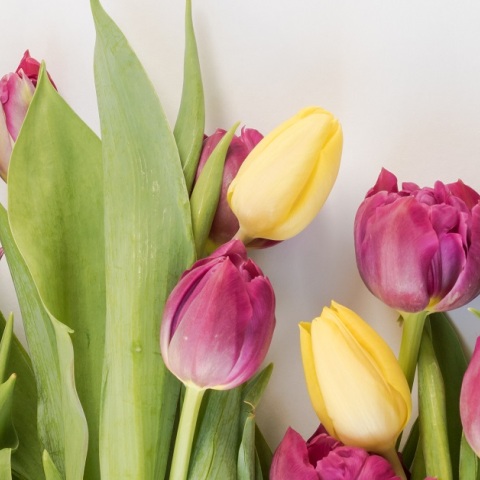 Εορτολόγιο: Σήμερα 23 Φεβρουαρίου 2023 γιορτάζει…