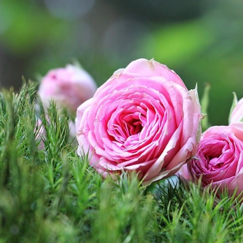 Εορτολόγιο: Σήμερα 24 Φεβρουαρίου 2023 γιορτάζει…